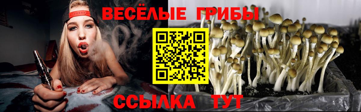 Псилоцибиновые грибы GOLDEN TEACHER  Вход с VPN  Туапсе  Псилоцибиновые грибы ЛСД 